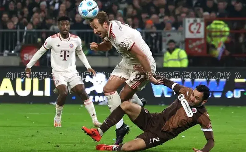 门徒平台登录入口官网注册顺丰《山东临沂足球运动员名单大揭秘，这些球员你都认识吗？》