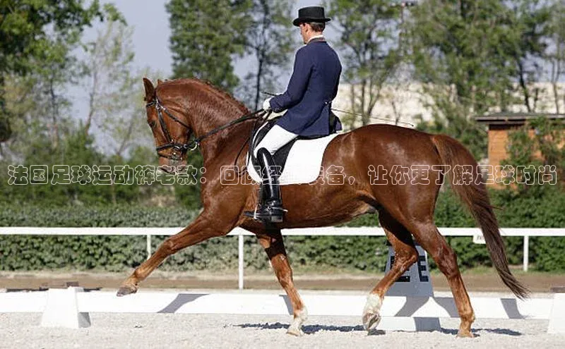 门徒注册登录地址百度大脑法国足球运动裤老款：回顾经典装备，让你更了解足球时尚