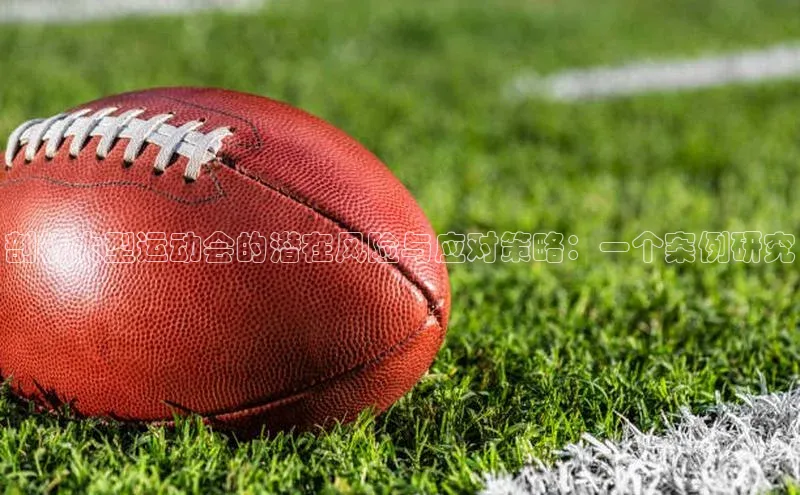 门徒平台登录地址百度Apollo剖析大型运动会的潜在风险与应对策略：一个案例研究