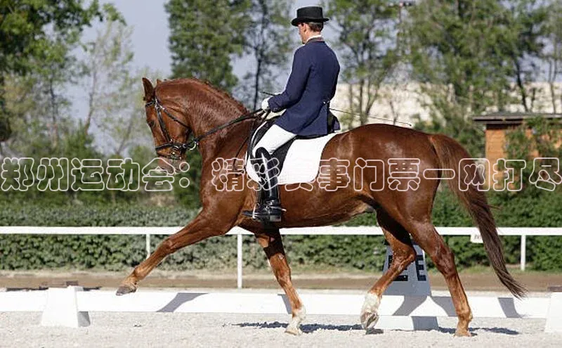门徒平台登录入口官网注册极氪智能科技郑州运动会：精彩赛事门票一网打尽