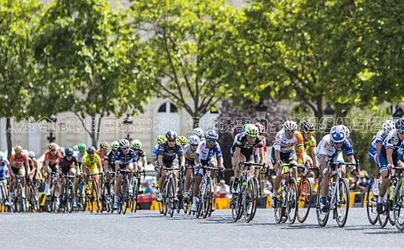 从发令枪响到冠军冲刺：运动赛事的全流程组织与管理