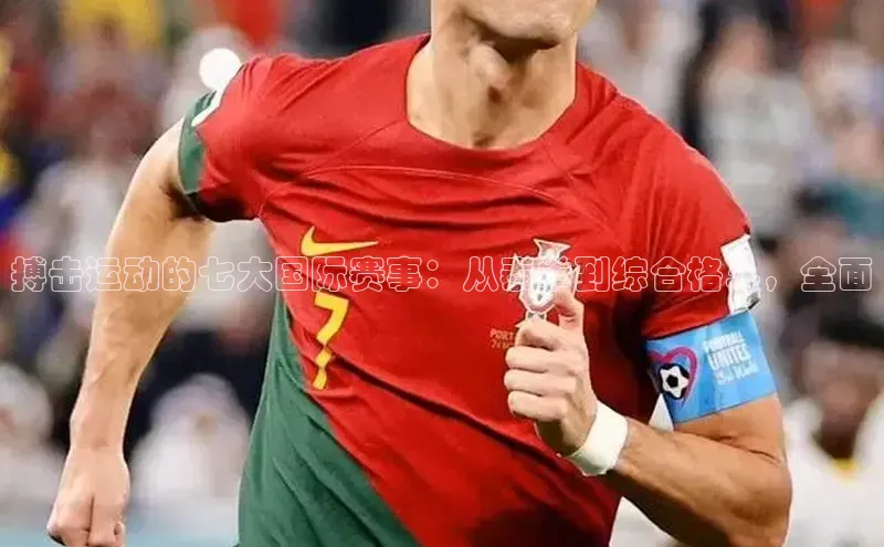 搏击运动的七大国际赛事：从泰拳到综合格斗，全面