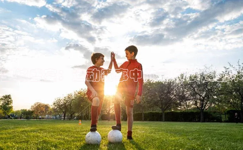 空域盛宴：运动赛事中的飞行表演艺术