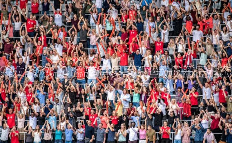 魅力绽放：甘肃定西乒乓球运动的激情之旅