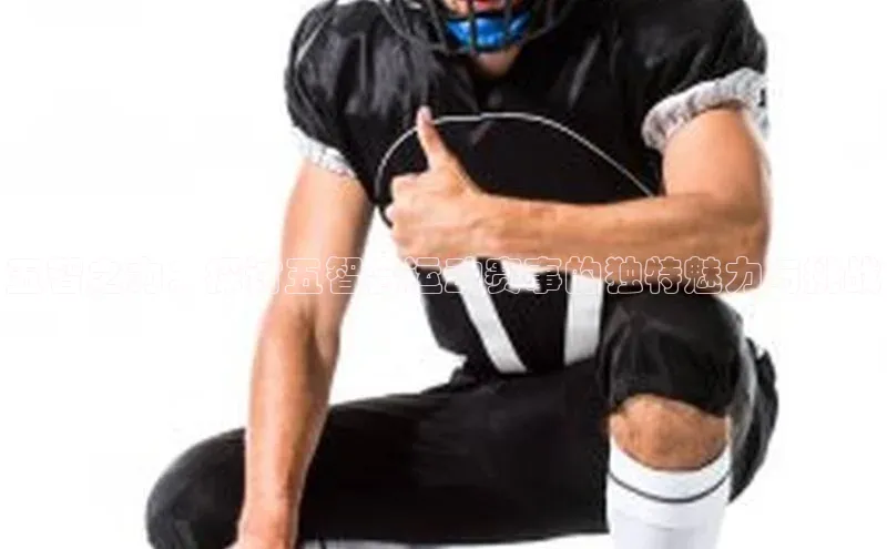 五智之力：探讨五智会运动赛事的独特魅力与挑战