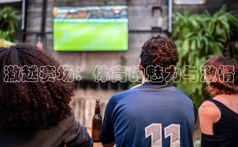 激越赛场：体育的魅力与激情