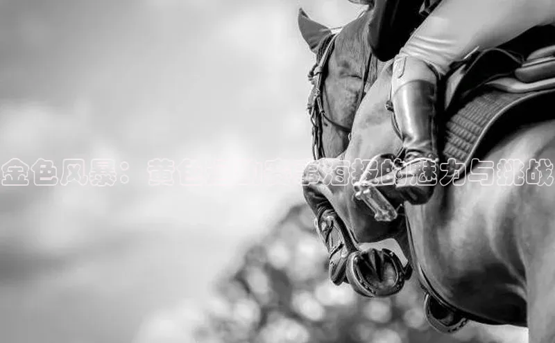 金色风暴：黄色运动赛事海报的魅力与挑战