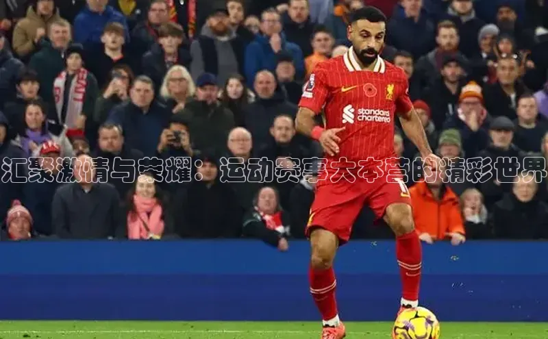 汇聚激情与荣耀：运动赛事大本营的精彩世界