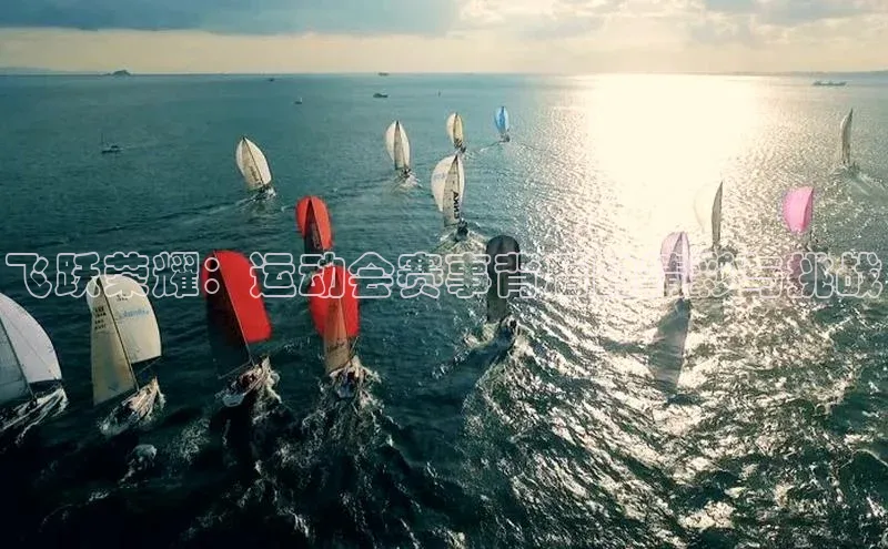 飞跃荣耀：运动会赛事背后的精彩与挑战