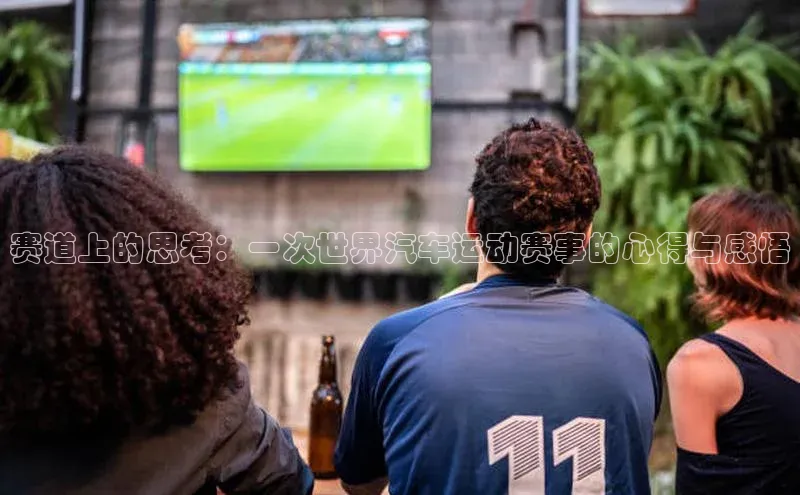 赛道上的思考：一次世界汽车运动赛事的心得与感悟