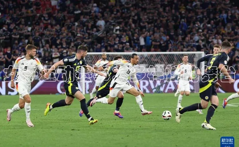 女子运动赛事：多样性的舞台