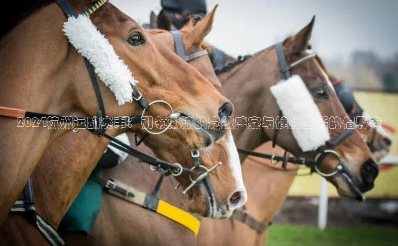 2024杭州运动赛事：引领潮流的竞技盛宴与健康生活的倡导者
