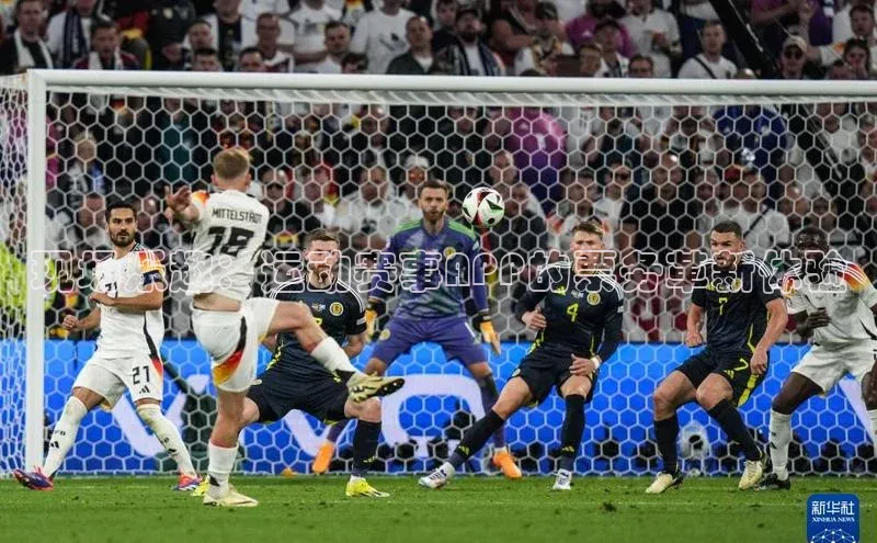 现场乐趣：运动赛事APP的票务革新体验