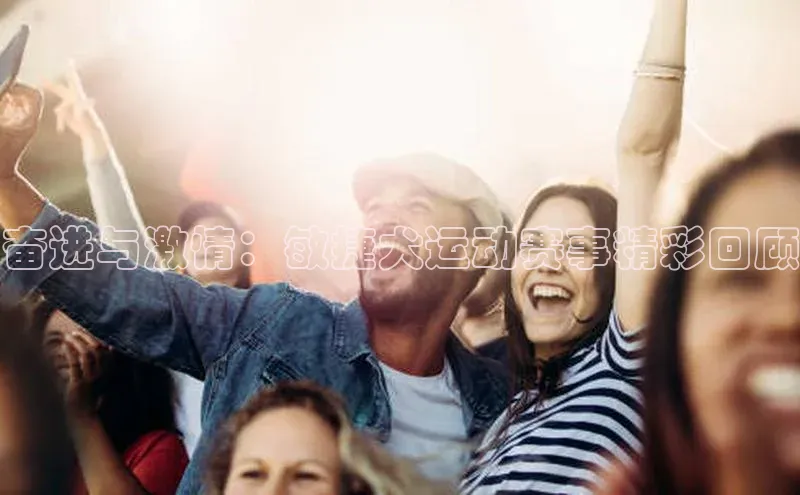 奋进与激情：敏捷犬运动赛事精彩回顾