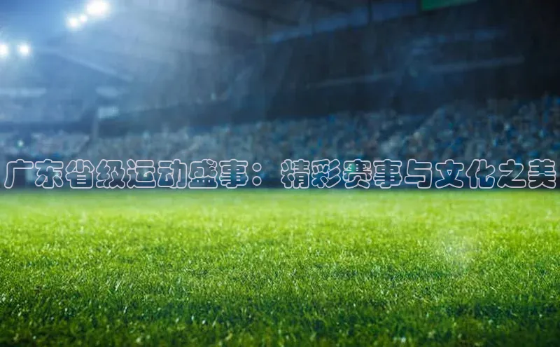 广东省级运动盛事：精彩赛事与文化之美